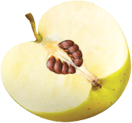 Peach Slice